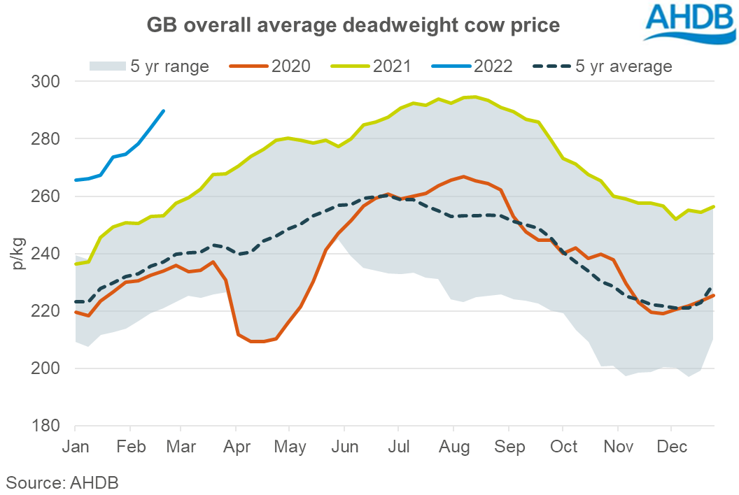 Graph showing average GB deadweight cull cow price w/e 19 Feb
